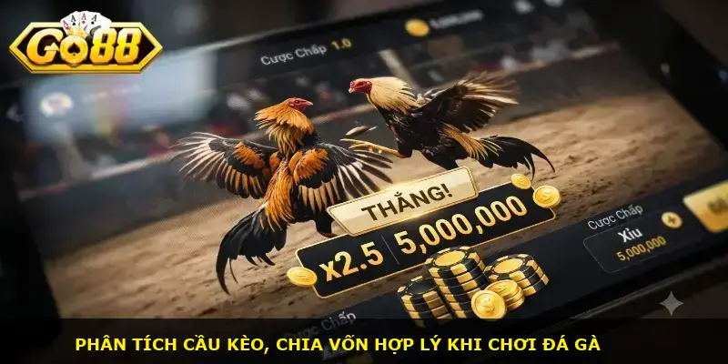 kèo đá gà trực tiếp GO88 - ảnh 3