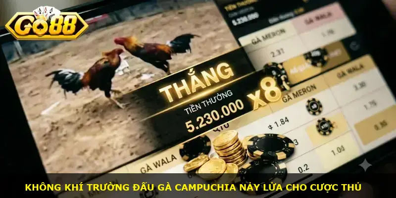 trực tiếp c3 đá gà GO88 - ảnh 1