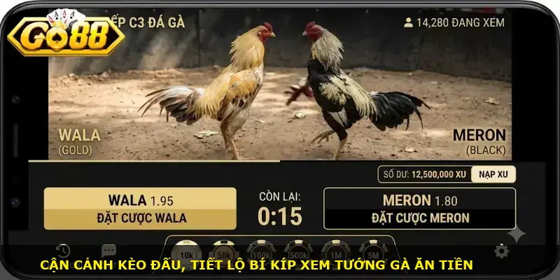trực tiếp c3 đá gà GO88 - ảnh 2