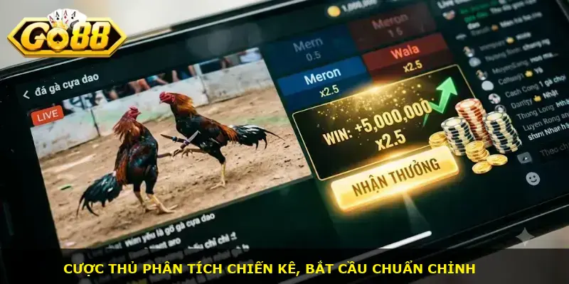 đá gà cựa dao GO88 - ảnh 3
