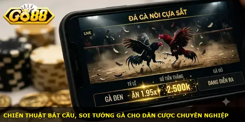 Đá gà nòi cựa sắt GO88 - ảnh 3