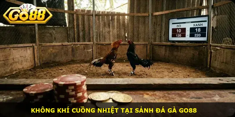 đá gà cựa dao GO88 - ảnh 1
