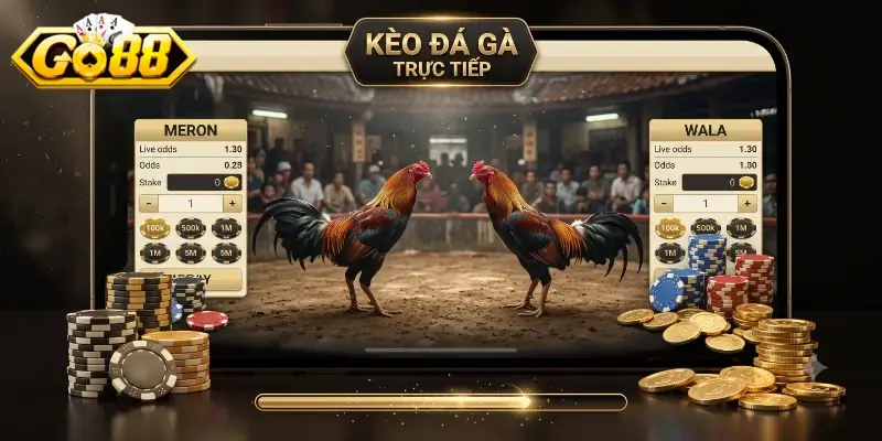 Kèo đá gà trực tiếp Go88 trải nghiệm cá cược hấp dẫn mỗi ngày