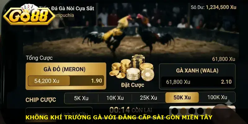 Đá gà nòi cựa sắt GO88 - ảnh 1