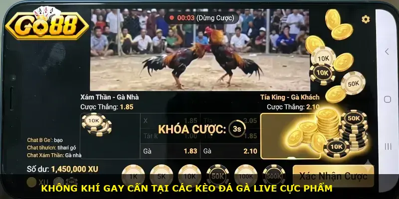 kèo đá gà trực tiếp GO88 - ảnh 1